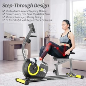 Pooboo recumbent exercise bike