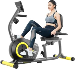 Pooboo recumbent magnetic excercise bike